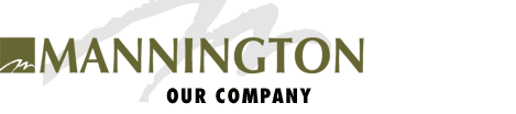 Our Company