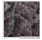 Winter Berries